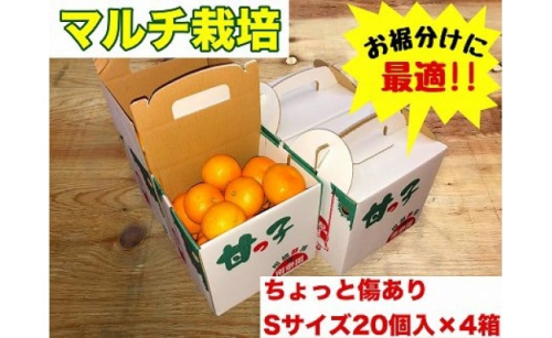 手さげ箱 ちょっと傷 マルチ栽培 有田 みかん S サイズ 20個入 × 4箱 南泰園 546411 - 和歌山県有田川町