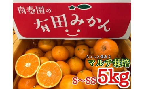 ちょっと 傷あり マルチ栽培 有田 みかん S または SS サイズ 5kg 南泰園 546413 - 和歌山県有田川町