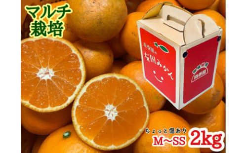 ちょっと 傷あり マルチ栽培 有田 みかん M ～ SS サイズ 2kg 手さげ箱 南泰園 546414 - 和歌山県有田川町