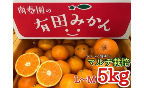 ちょっと 傷あり マルチ栽培 有田 みかん L または Ｍ サイズ 5kg 南泰園 546416 - 和歌山県有田川町