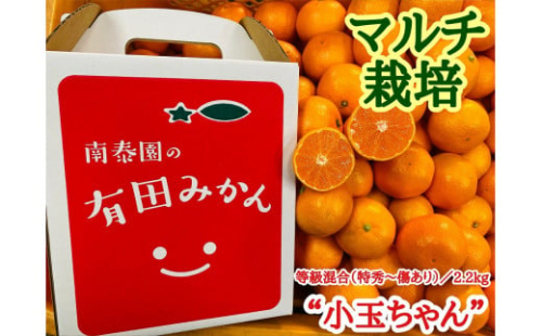 マルチ栽培 有田 みかん 小玉ちゃん 等級混合 2.2kg 南泰園 546418 - 和歌山県有田川町