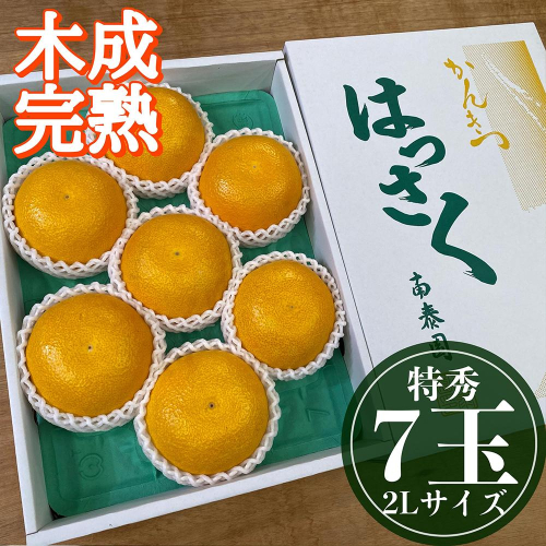 4月 まで 木成 完熟 させた 有田 はっさく 特秀 大玉 2L × 7玉 化粧箱 南泰園 546420 - 和歌山県有田川町