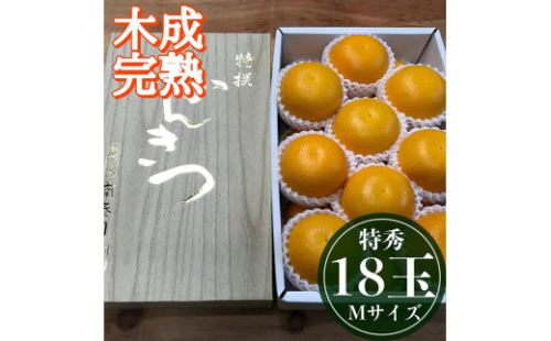 4月 まで 木成 完熟 させた 有田 はっさく 特秀 M × 18玉 2段詰 化粧箱 南泰園 みかん 546425 - 和歌山県有田川町