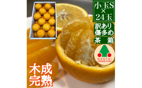 訳あり 傷多め 4月 まで 木成 完熟 させた 有田 はっさく S × 24玉 茶箱 南泰園 546429 - 和歌山県有田川町