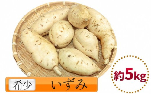 富山県産さつまいも いずみ 約5kg 546628 - 富山県氷見市