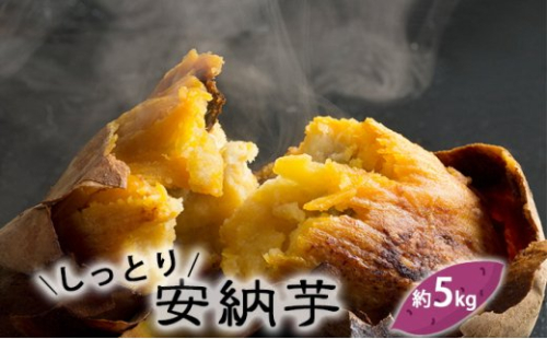 富山県産 さつまいも（しっとり！安納芋）約5kg 546629 - 富山県氷見市