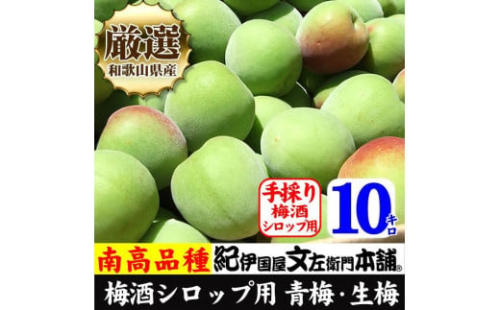 南高梅【緑】10kg ■特大サイズ  梅酒用 フレッシュ青梅（生梅）／紀伊国屋文左衛門本舗 546698 - 和歌山県上富田町