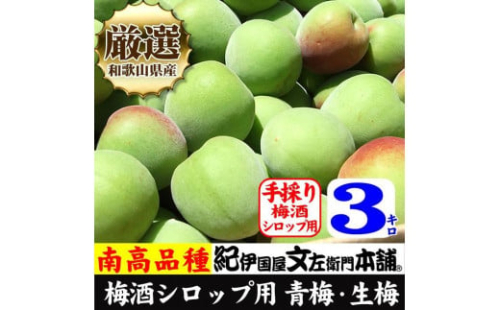 3kg【緑】■特大サイズ 南高梅 梅酒用 フレッシュ青梅（生梅）／紀伊国屋文左衛門本舗 546701 - 和歌山県上富田町