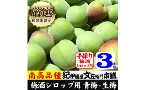 3kg 【緑】大サイズ 南高梅 梅酒用 フレッシュ青梅（生梅）／紀伊国屋文左衛門本舗 546702 - 和歌山県上富田町