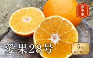 B83　【2023年12月発送】【先行予約】愛果28号　5kg　ご家庭用　2L〜4L　大玉