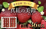 【先行予約/2024年12月配送開始】希少品種 黒いちご 真紅の美鈴 2L36粒入り SMAN001