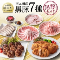 南九州産黒豚７種 「黒豚セット」【数量限定 肉 豚 黒豚 セット 惣菜】