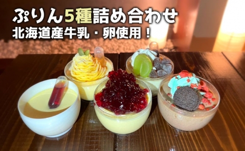 ぷりん5種詰め合わせ 北海道産牛乳・卵使用! 547061 - 北海道登別市