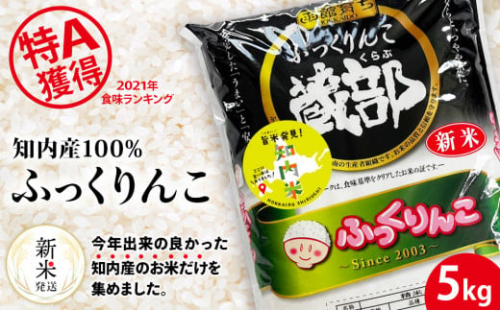 【新米発送】知内産 ふっくりんこ 5kg 【JA新はこだて】お米 白米 精米 ブランド米 おにぎり ごはん 送料無料