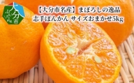 【C09020】【1月下旬より配送】【大分市名産】まぼろしの逸品 志手ぽんかん サイズおまかせ5kg