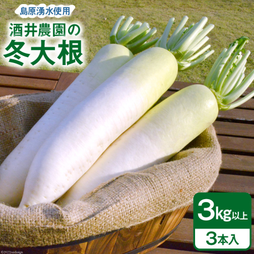 AG080 酒井農園の冬大根 3kg以上（3本入） 547937 - 長崎県島原市