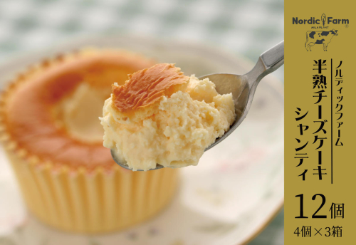 濃厚トロリとろける　半熟チーズケーキ・シャンティ〔4個入り×3箱〕  en01-00084 547982 - 北海道遠軽町