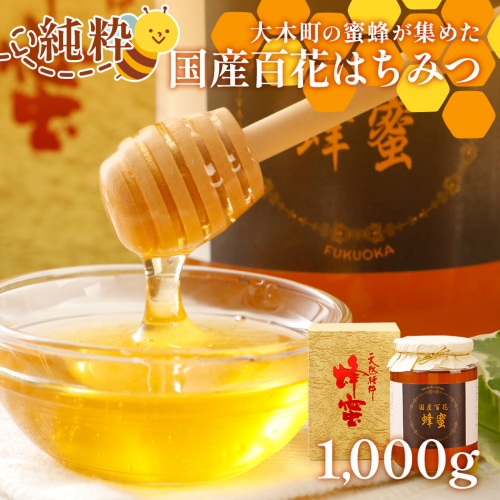 国産蜂蜜ギフト 1,000g　黒ラベル　CD12 548375 - 福岡県大木町