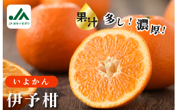今治の代表的な柑橘、春を呼ぶ香りと程よい酸味が特徴です。 (※越智今治農協で選果した品です。)？※発送予定時期：2025年2月〜3月【提供事業者】越智今治農業協同組合 TEL:0898-34-1882