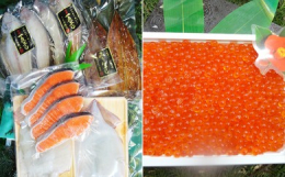 三陸の美味しいいくらをたっぷり250gと、大船渡港で水揚げされ、やわらかく天日干しに仕上げた居酒屋等で人気の開きいか三陸の海の味覚の美味しいセットです。三陸大船渡で水揚げされた新鮮なさんまを原料として