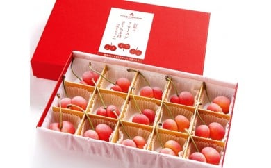 フローズンさくらんぼ「双子ちゃん」15粒化粧箱入　A-0306