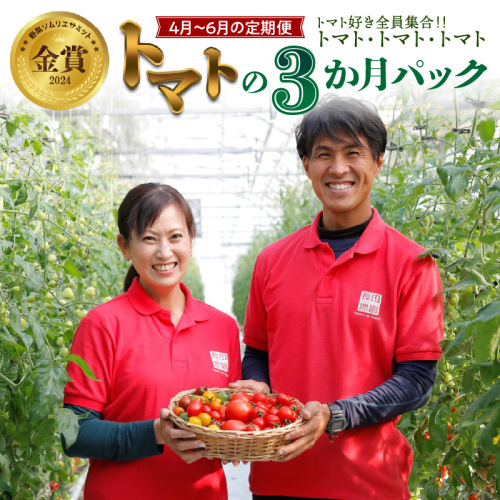【4月～6月の定期便】トマト好き全員集合 トマト・トマト・トマト3か月お届けパック 野菜ソムリエサミット 金賞 受賞 長田農園 産地直送 トマト とまと 野菜 やさい フルーツ サラダ 濃厚 甘い ご褒美 プレゼント 美容 健康 リピート多数 人気 高評価 数量限定 碧南市　H004-173 54911 - 愛知県碧南市