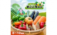 JAきみつ 季節の野菜まごころBOX 人気の直売所 朝採れ 新鮮 野菜