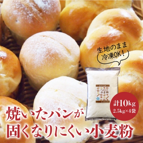 焼いたパンが固くなりにくい小麦粉 2.5kg×4袋(計10kg)　H008-094 54942 - 愛知県碧南市