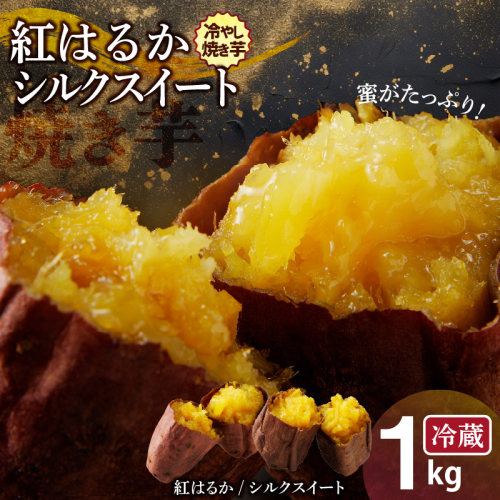 焼き芋 蜜たっぷり！冷やし焼き芋　ひえひえ君 1kg(500g×2) 紅はるか＆シルクスイート 芋スイーツ　H047-029 54962 - 愛知県碧南市