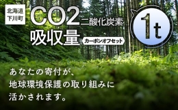 【ふるさと納税】CO2（二酸化炭素）吸収量 1t カーボンオフセット 故郷 ふるさと 納税 北海道 下川町 F4G-0011