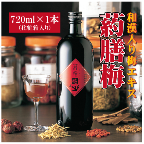 和漢入り梅エキス　葯膳梅　H001-063 54985 - 愛知県碧南市