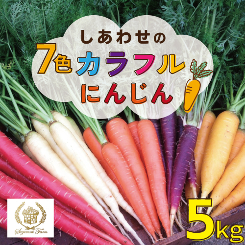 【期間限定】 冬の寒さでぎゅっと濃い！虹色のカラフルにんじん 鈴盛農園 農家直送 甘い スーパーフード 健康 自慢 ジュース サラダ ギフト 贈り物 βカロテン ポリフェノール リコピン ジューシー H022-012 55027 - 愛知県碧南市