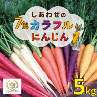 【期間限定】 冬の寒さでぎゅっと濃い！虹色のカラフルにんじん 鈴盛農園 農家直送 甘い スーパーフード 健康 自慢 ジュース サラダ ギフト 贈り物 βカロテン ポリフェノール リコピン ジューシー H022-012