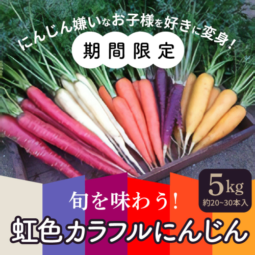【期間限定】 冬の寒さでぎゅっと濃い!虹色のカラフルにんじん H022-012 55027 - 愛知県碧南市