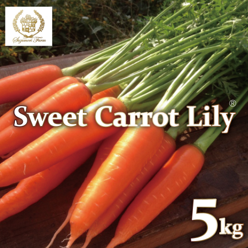 【期間限定】鈴盛農園の甘～いにんじん　『スウィートキャロットリリィ』 人参 甘い ジュース サラダ スムージー ジューシー H022-013 55028 - 愛知県碧南市