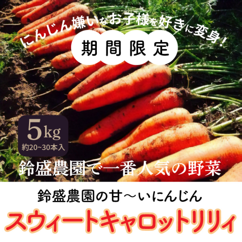【期間限定】鈴盛農園の甘~いにんじん スウィートキャロットリリィ H022-013 55028 - 愛知県碧南市