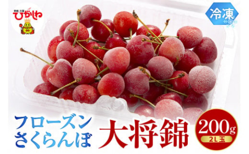 フローズンさくらんぼ「大将錦」200g入 有限会社佐藤錦提供 山形県 東根市 hi004-hi029-016r