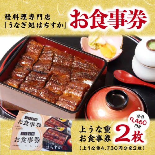 鰻料理専門店「うなぎ処はちすか」お食事券 2枚 9,460円分 国産 日本料理 うなぎ 蒲焼 白焼き 肝 出汁 うな丼 うな重 上うな重 ひつまぶし 食事 券 チケット うなぎ屋　H026-034 55073 - 愛知県碧南市