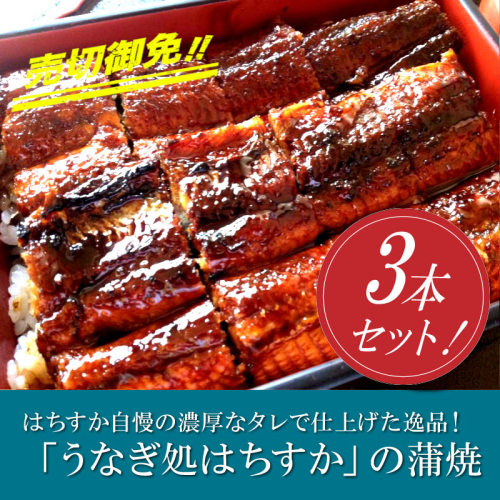 三河一色産 鰻の蒲焼き 3尾 計540g以上 うなぎ処はちすか 国産 日本料理 うなぎ 蒲焼 白焼 真空 冷蔵 大きい 白だし かつおぶし 出汁 うな丼 うな重 ひつまぶし　H026-031 55074 - 愛知県碧南市
