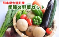 熊本県大津町産 季節の野菜セット(6～8種類) 《60日以内に出荷予定(土日祝除く)》 野菜 冷蔵 JA菊池 大津中央支所 とれたて市場
