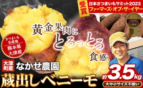 熊本県産『紅はるか』焼き芋（大）サイズ 約20キロ 再値下げしました