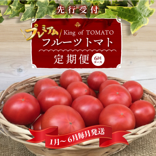 1月～6月毎月発送　プレミアムフルーツトマトの定期便　6回コース　H004-163 55095 - 愛知県碧南市