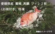 愛媛県産養殖真鯛フィレ2枚（お頭付き）冷凍 [EB02030]