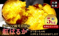 熊本県大津町産 タカハマ観光農園の紅はるか 約5kg(大中小ミックス)[12月中旬-4月末頃出荷] さつまいも 芋 スイートポテト 干し芋にも
