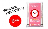 【令和5年産】　香川のお米　おいでまい　5kg_お米