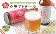 [京の和菓子屋プロデュース]JOYO PLUM FOREST ALE(梅クラフトビール) 2本セット
