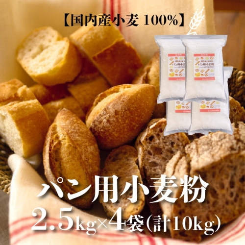 【国内産100%】パン用小麦粉2.5kg×4袋(計10kg)　H008-079 55122 - 愛知県碧南市