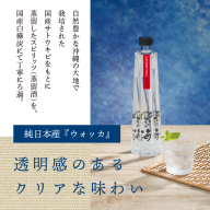 国産ウォッカ『碧の海』500ml瓶×２本 純国産 アルコール 酒 蒸留酒 スピリッツ ウォッカ ストレート ショット カクテル 沖縄 サトウキビ 白樺炭 H044-023