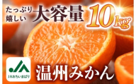 【先行予約】温州みかん 10kg【KC00760】