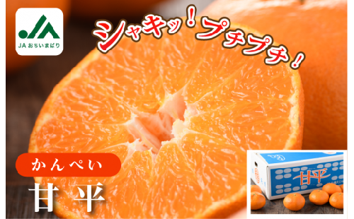 【ご家庭用】【先行予約】今治産甘平レギュラー箱 ５ｋｇ 【KC00780】